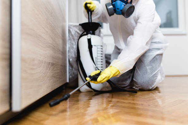 Wasp Removal Services in Wendover, UT