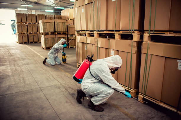 Best Wasp Removal Services  in Wendover, UT