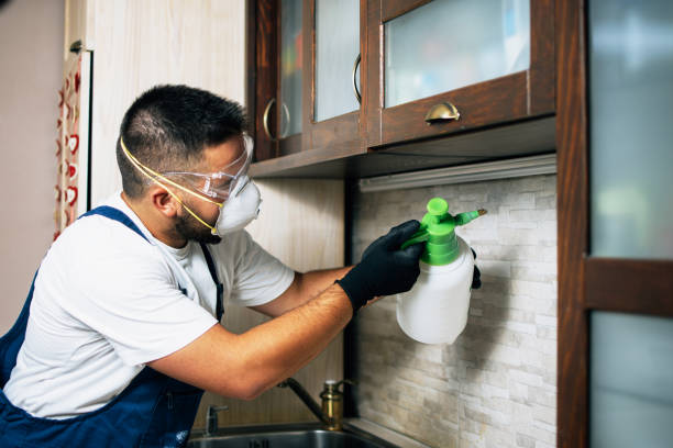 Best Bed Bug Extermination  in Wendover, UT