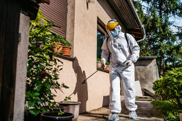Pest Control for Restaurants in Wendover, UT