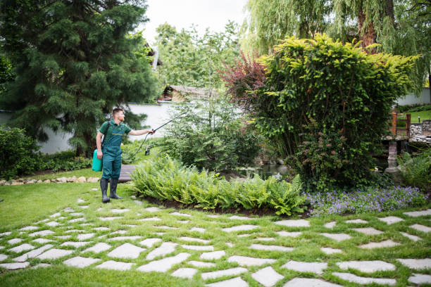 Best Local Pest Control Services  in Wendover, UT