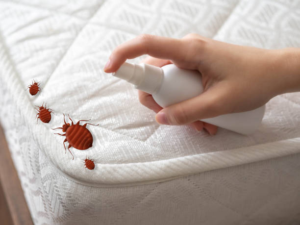 Best Pest Control Near Me in Wendover, UT
