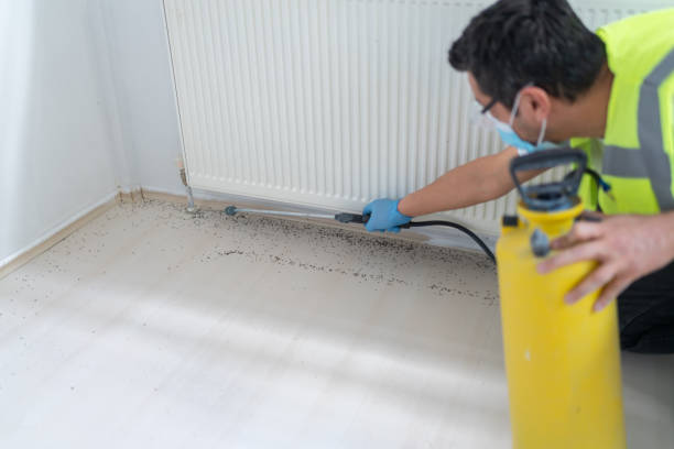 Best Affordable Pest Control Services  in Wendover, UT