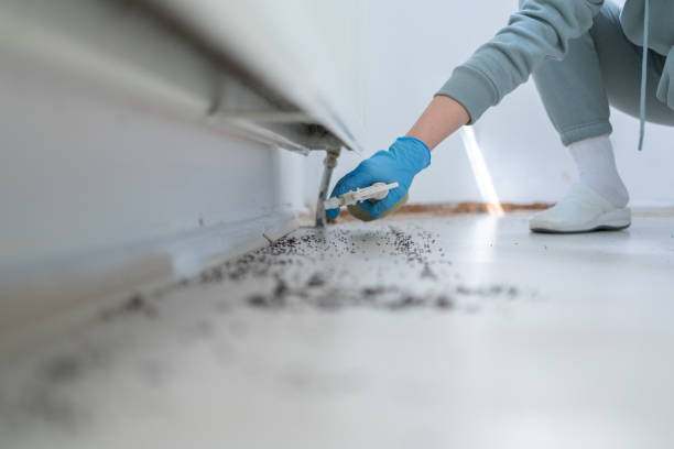 Wildlife Control Services in Wendover, UT
